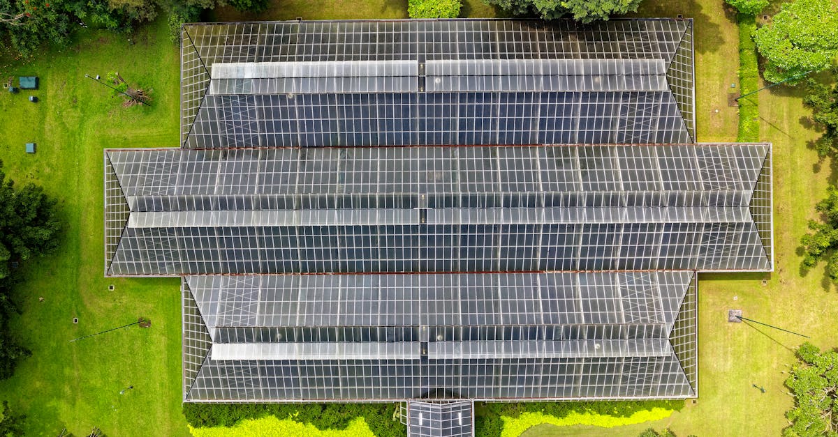 Énergies Renouvelables : Le Rôle Clé des Politiques Publiques