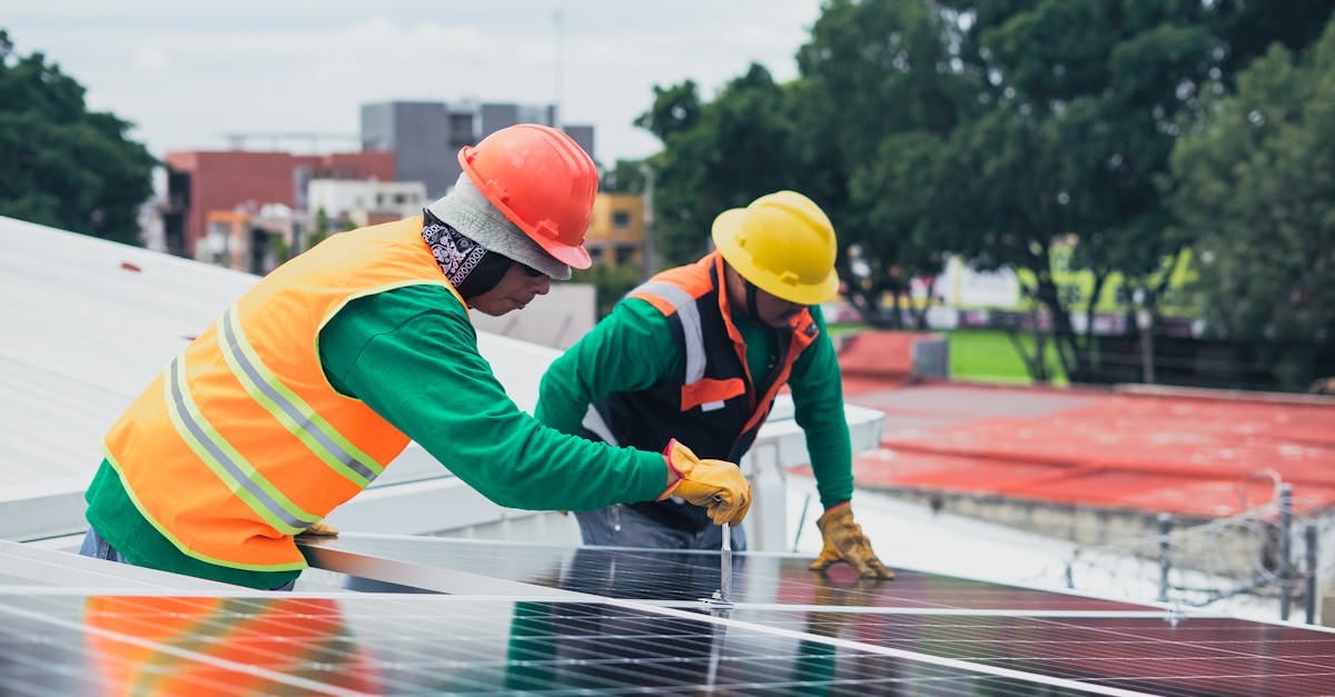 Panneaux solaires : Guide des types et de leurs atouts