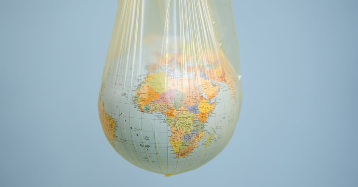 Développement durable : démêler le vrai du faux