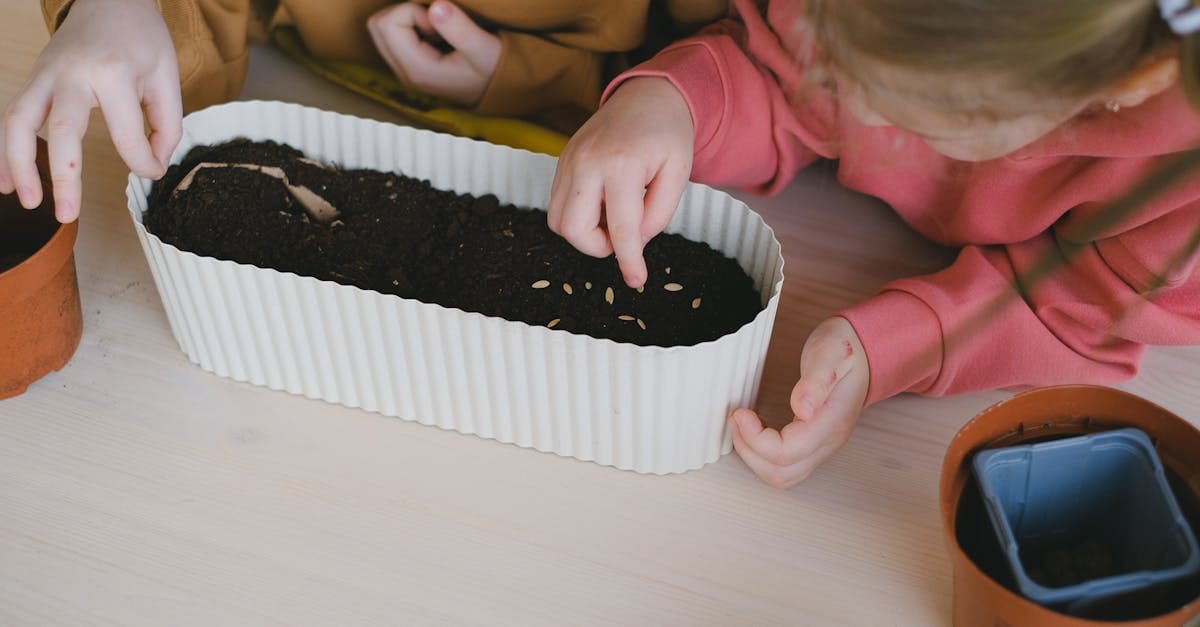 Éducation au développement durable : un enjeu crucial pour demain