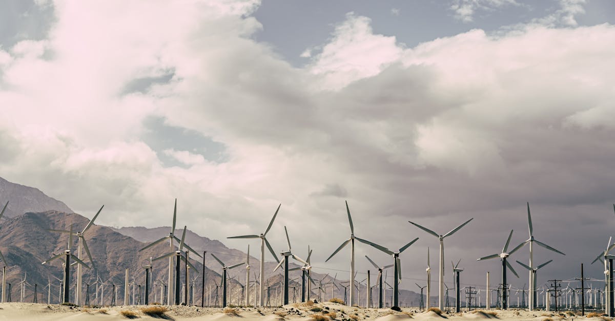 Pionniers de la Planète : Les Acteurs Essentiels du Développement Durable en France