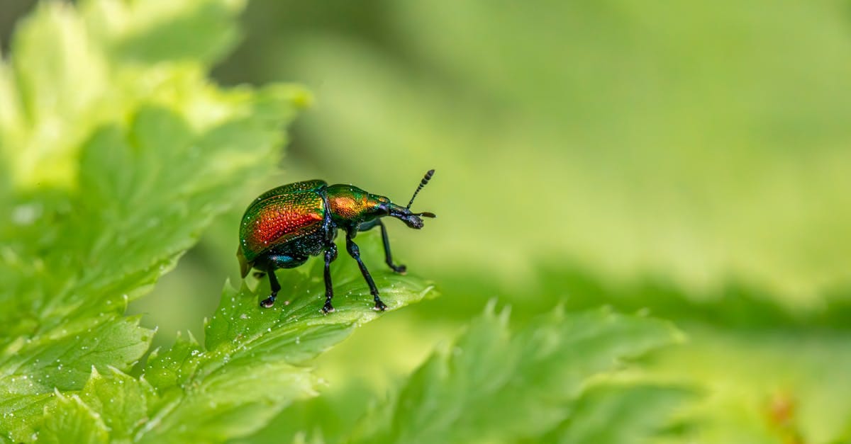 Surmonter les Obstacles : L'Écologie Intégrée à l'Épreuve du Climat