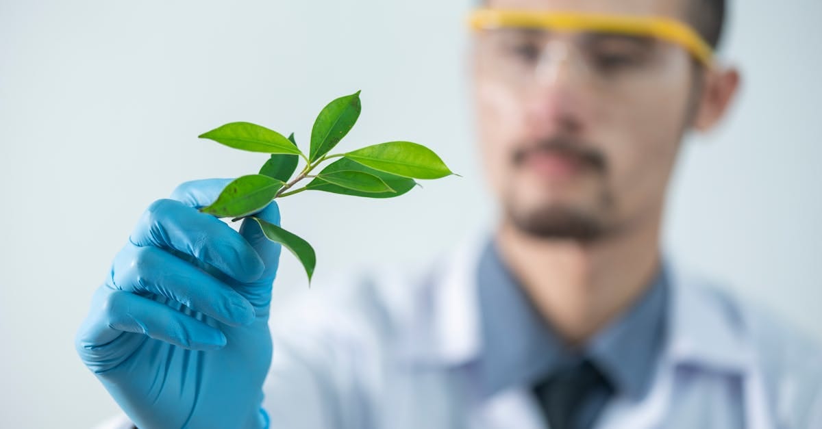 Innovation verte : Catalyseur de biodiversité et d'équilibre écologique