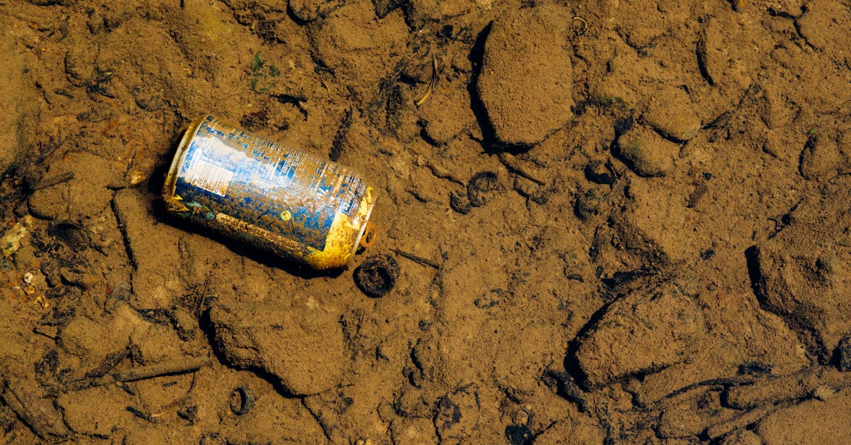 découvrez l'évaluation de l'impact écologique, un processus essentiel pour mesurer et analyser les effets des projets sur l'environnement. cette méthodologie permet de garantir la durabilité et de minimiser les dommages, tout en promouvant des solutions respectueuses de la nature.