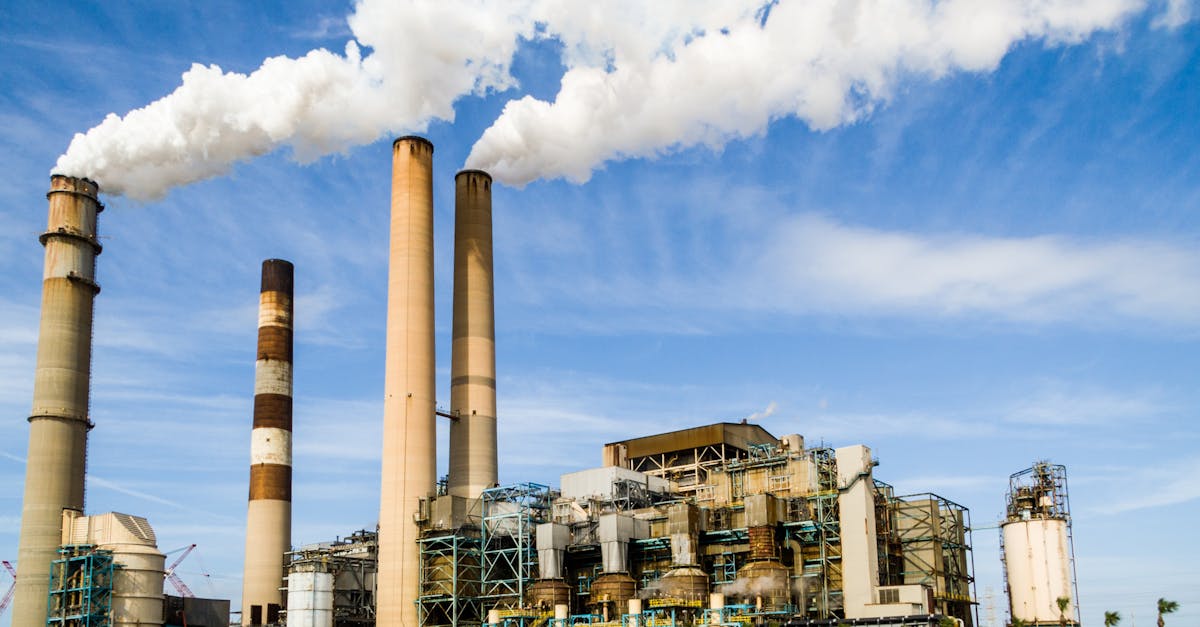 découvrez l'impact environnemental et les effets de nos actions sur la planète. analyse des changements climatiques, de la pollution et des solutions durables pour préserver notre écosystème.