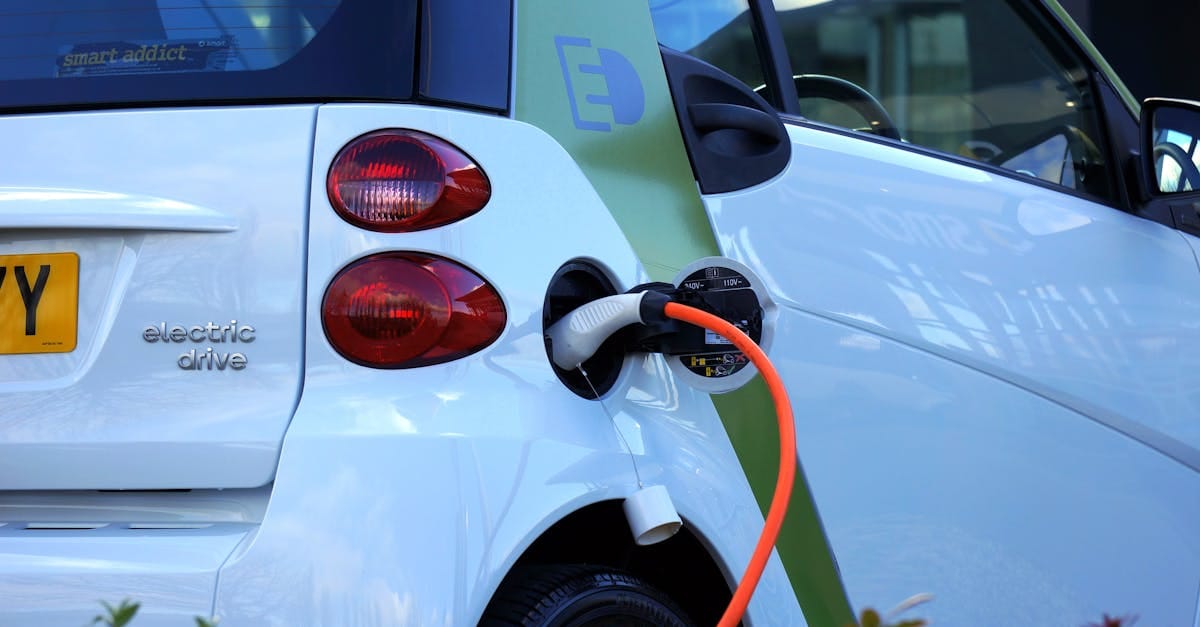 découvrez l'impact environnemental des activités humaines et explorez des solutions durables pour préserver notre planète. informez-vous sur les enjeux écologiques et engagez-vous pour un avenir meilleur.