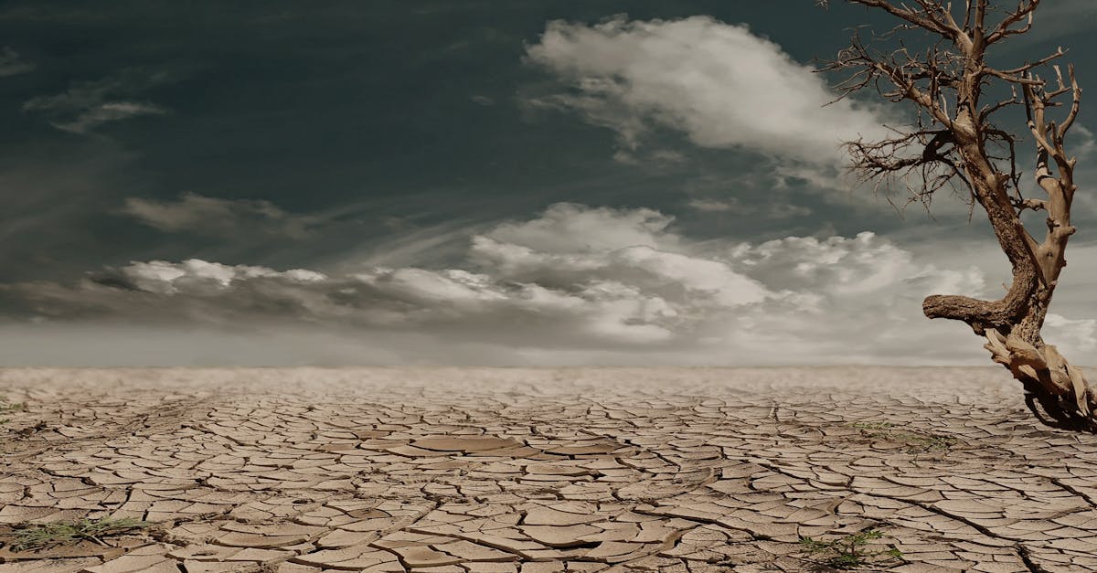 découvrez l'impact environnemental de nos actions sur la planète. analysez comment nos choix peuvent influencer la biodiversité, le climat et la durabilité, et engagez-vous vers des solutions respectueuses de l'environnement.