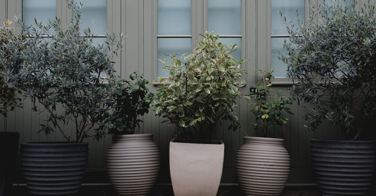 découvrez le design éco-responsable avec notre guide sur le green design. apprenez comment intégrer des matériaux durables et des pratiques respectueuses de l'environnement dans vos projets de décoration et d'architecture.