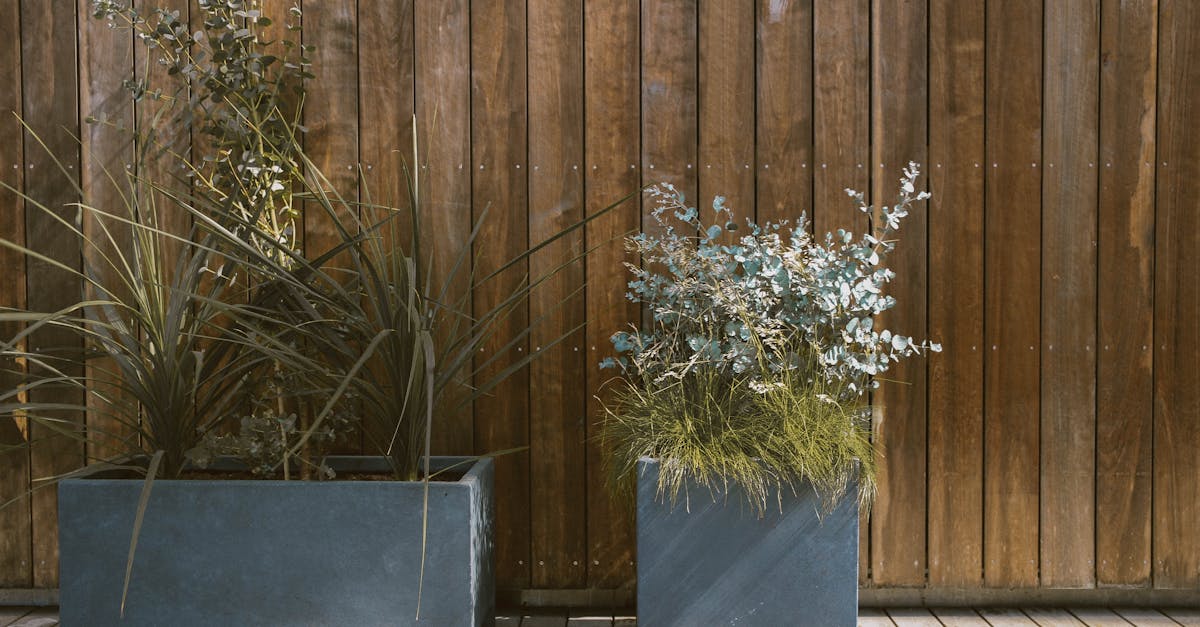 découvrez l'univers du green design, une approche innovante et durable qui allie esthétique et écologie. apprenez à créer des espaces respectueux de l'environnement tout en préservant le style et la fonctionnalité. inspirez-vous de nos conseils pour adopter un mode de vie écoresponsable.