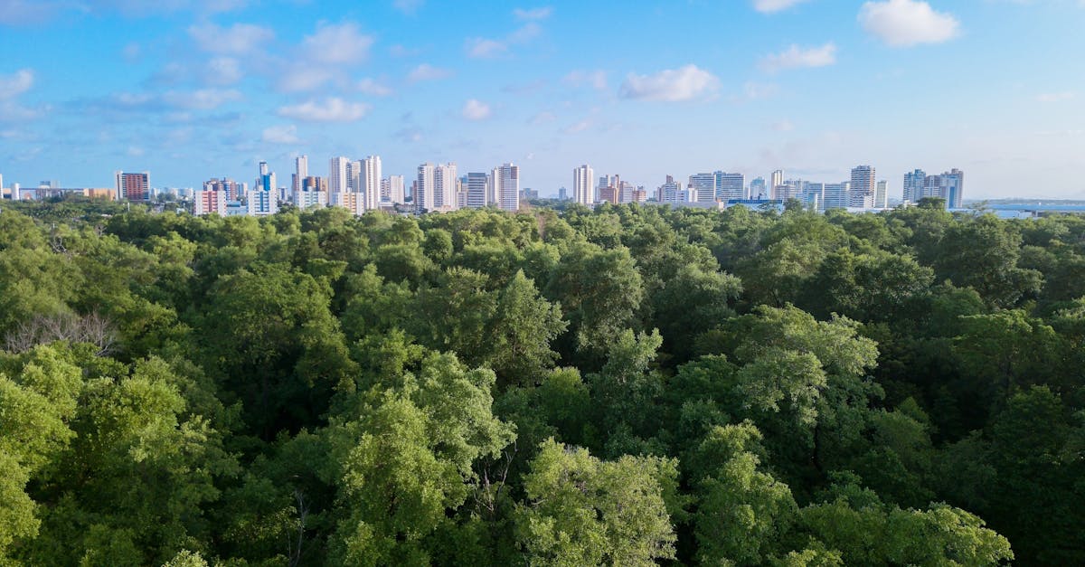 découvrez l'écologie intégrée, une approche innovante qui fusionne des disciplines variées pour comprendre et préserver les écosystèmes. explorez les liens entre la biodiversité, les systèmes naturels et l'impact humain, tout en apprenant comment promouvoir un avenir durable.