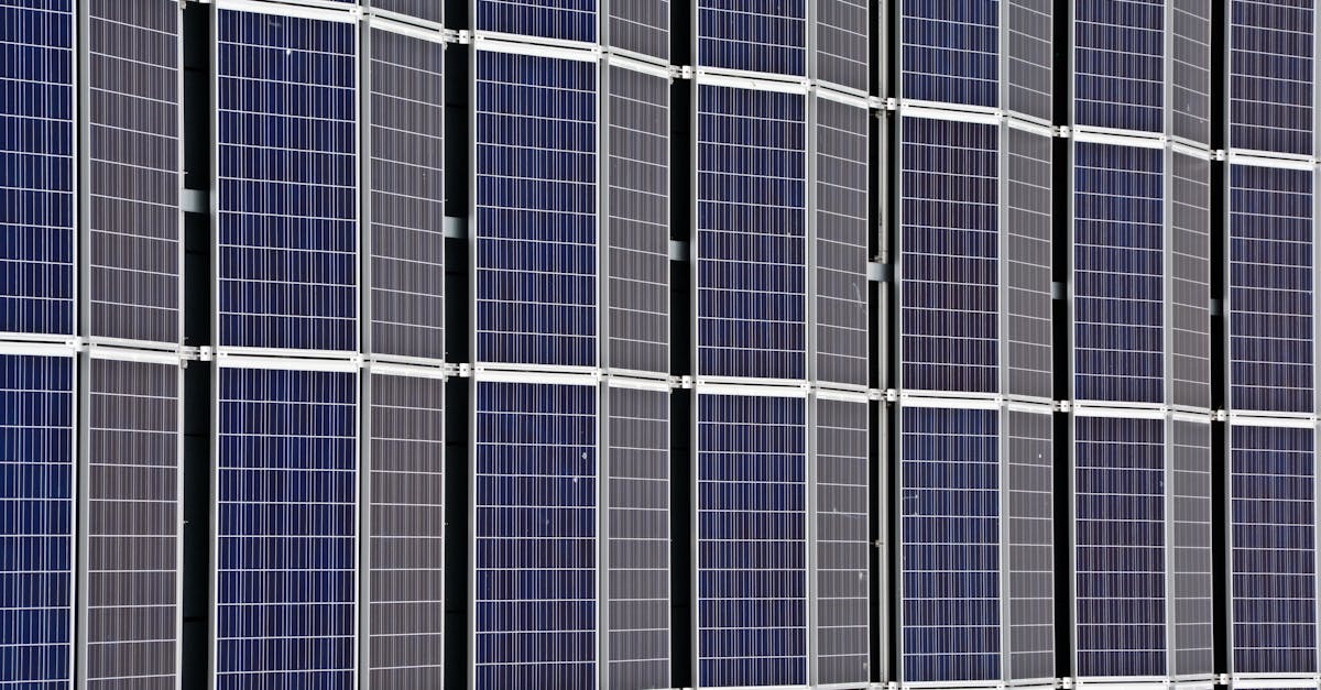 découvrez l'importance de la durabilité dans notre monde moderne. explorez des solutions pour un avenir respectueux de l'environnement, des pratiques écoresponsables et des initiatives qui permettent de préserver notre planète pour les générations futures.