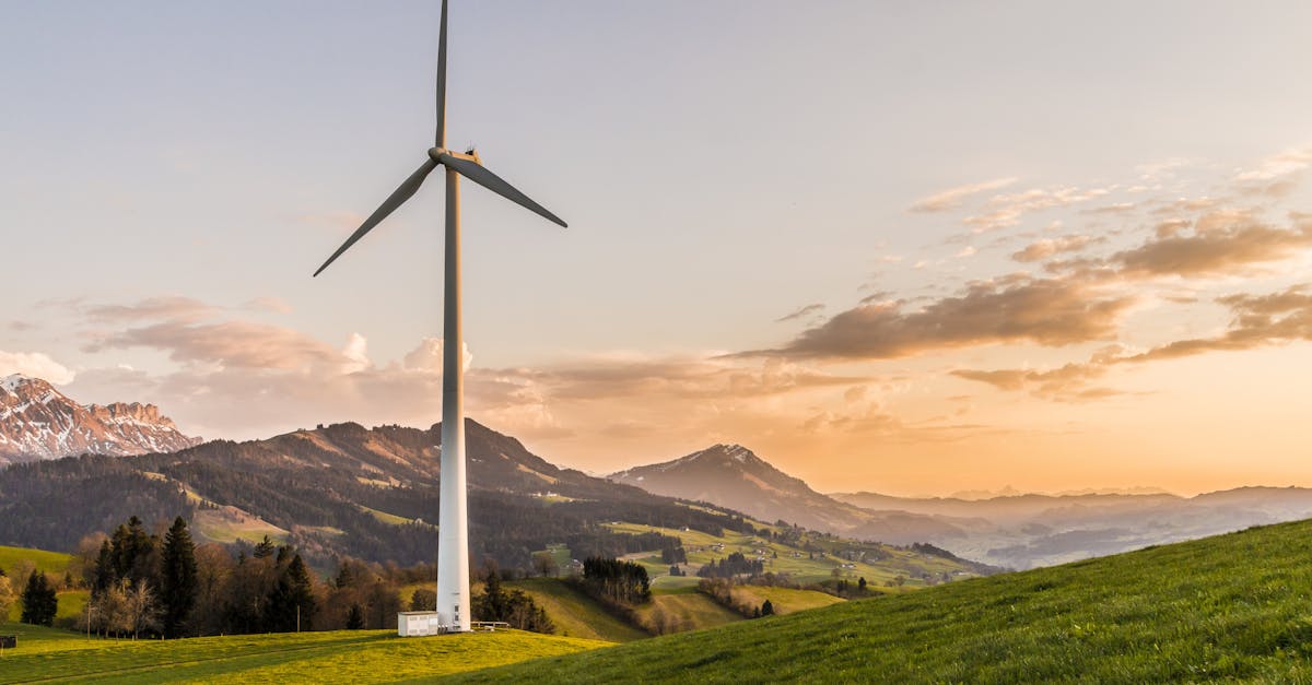 Biodiversité et Développement Durable : Un Duo Indispensable