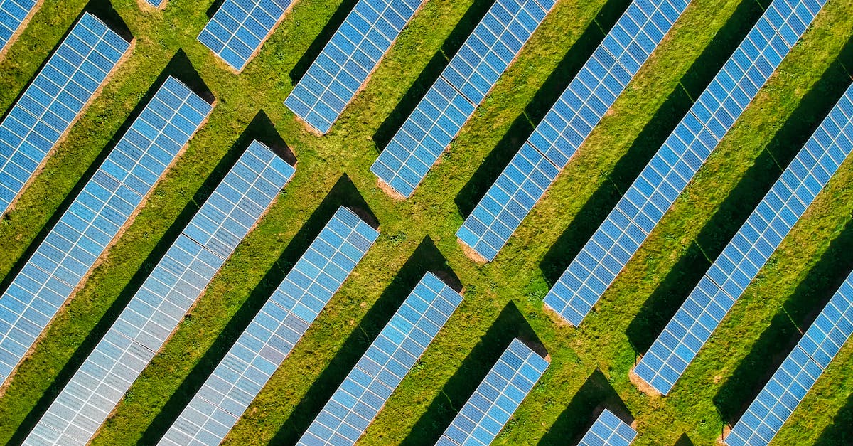 découvrez les principes du développement durable, une approche clé pour assurer un avenir écologique, économique et social équilibré. explorez les stratégies innovantes et les initiatives qui favorisent la protection de l'environnement tout en répondant aux besoins des générations actuelles et futures.