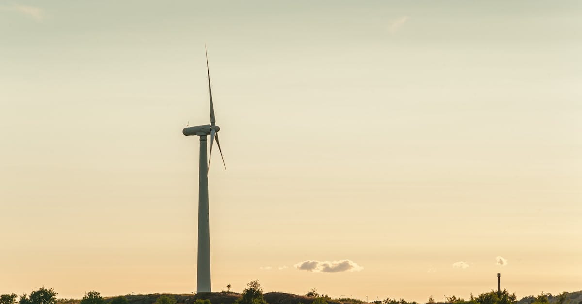 découvrez comment le développement durable allie croissance économique, équité sociale et protection de l'environnement pour construire un avenir meilleur. explorez des solutions innovantes et des pratiques responsables qui préservent notre planète pour les générations futures.