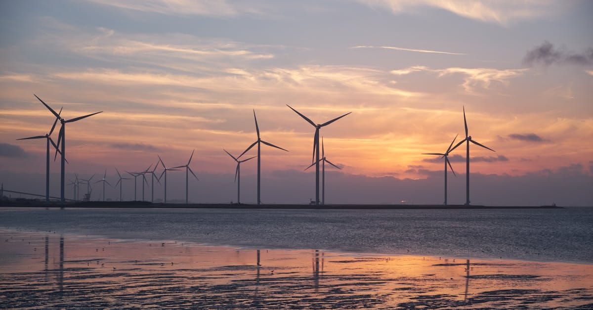 découvrez les enjeux du développement durable, une approche qui vise à concilier croissance économique, protection de l'environnement et équité sociale. explorez des solutions innovantes pour un avenir plus responsable.