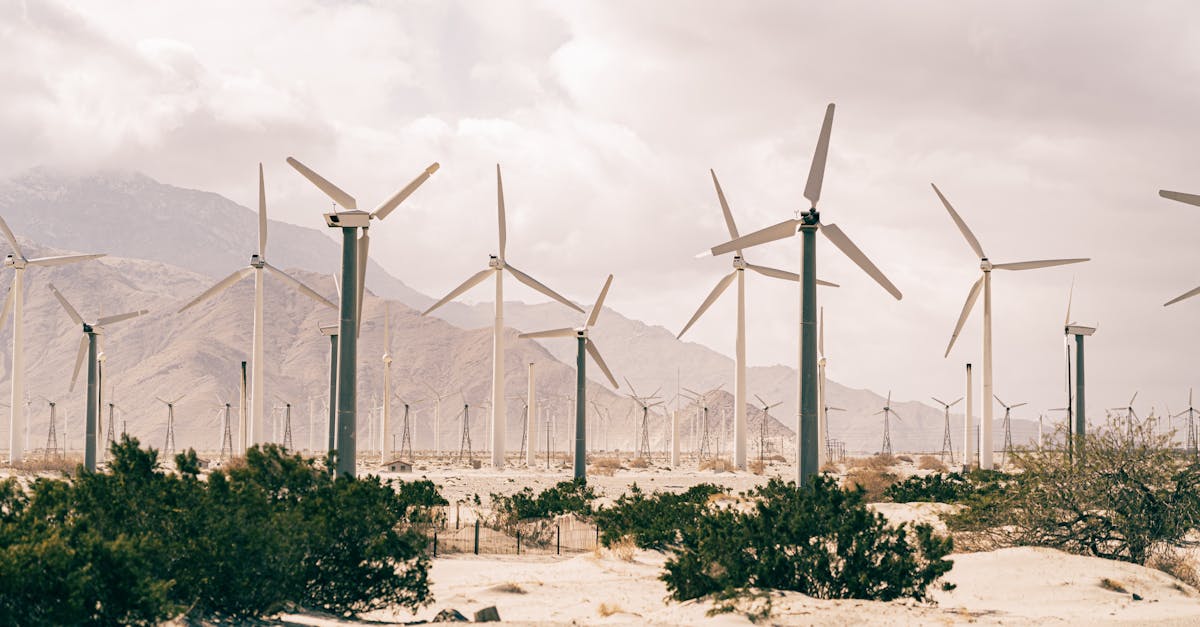 découvrez les enjeux et les solutions du développement durable. apprenez comment allier croissance économique, protection de l'environnement et équité sociale pour un avenir meilleur.