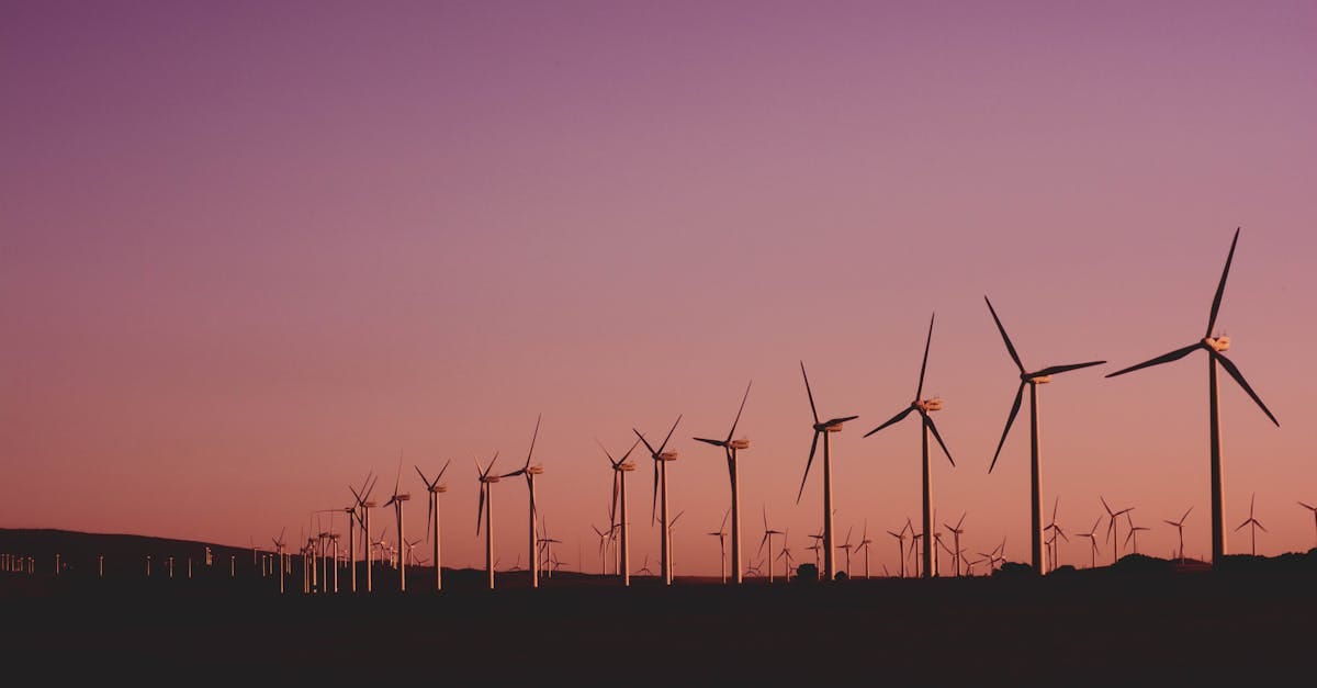 découvrez les enjeux du développement durable, une approche qui intègre l'économie, l'écologie et le social pour préserver notre planète et améliorer la qualité de vie des générations futures. engagez-vous vers un avenir plus responsable et durable.