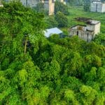 découvrez l'écologie intégrée, une approche innovante qui combine science de l'environnement, durabilité et gestion des ressources naturelles. apprenez comment cette méthodologie contribue à préserver nos écosystèmes tout en favorisant un développement durable.