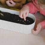 découvrez comment l'éducation au développement durable peut transformer notre société en intégrant des pratiques écologiques et éthiques pour un avenir meilleur. explorez les compétences essentielles pour promouvoir la durabilité à travers des programmes d'enseignement innovants.