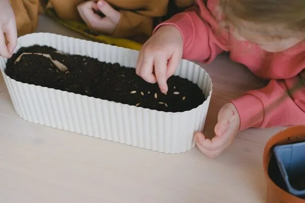 découvrez comment l'éducation au développement durable peut transformer notre société en intégrant des pratiques écologiques et éthiques pour un avenir meilleur. explorez les compétences essentielles pour promouvoir la durabilité à travers des programmes d'enseignement innovants.