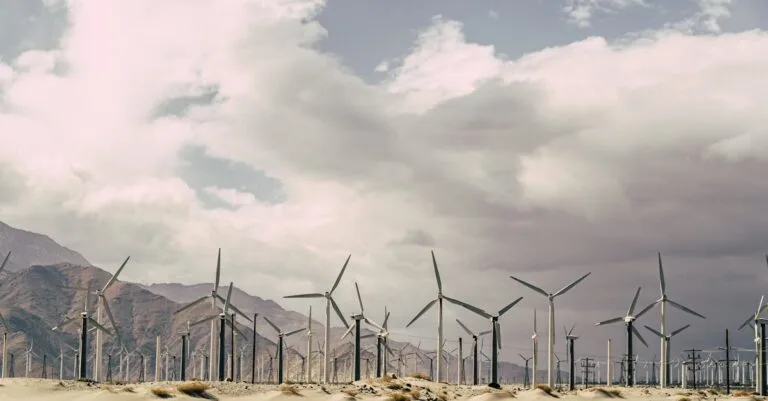 Les acteurs clés du développement durable en France