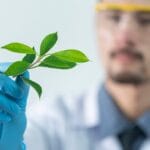 découvrez les dernières avancées en matière d'innovation verte qui transforment notre monde. explorez des technologies durables, des solutions écologiques et des initiatives inspirantes pour un avenir respectueux de l'environnement.