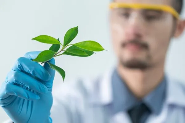 découvrez les dernières avancées en matière d'innovation verte qui transforment notre monde. explorez des technologies durables, des solutions écologiques et des initiatives inspirantes pour un avenir respectueux de l'environnement.