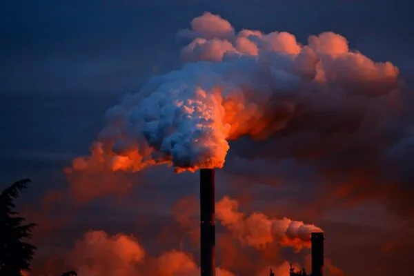 découvrez l'impact environnemental de nos actions quotidiennes et explorez des solutions durables pour préserver notre planète. des informations essentielles sur la pollution, le changement climatique et les initiatives écologiques à adopter.