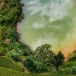 découvrez les principes écologiques essentiels qui guident la durabilité et la protection de notre environnement. apprenez comment ces concepts fondamentaux influencent notre relation avec la nature et favorisent un avenir plus vert.
